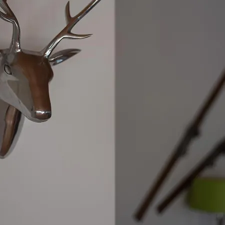 아파트 Penthouse Hohe Tauern By In One 피센도르프