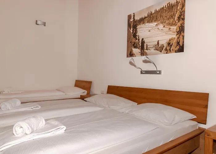 Penthouse Hohe Tauern By In One Apartment